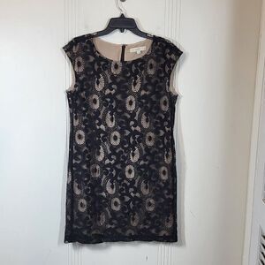 Ann Taylor Loft Black Lace Sleeveless Dress